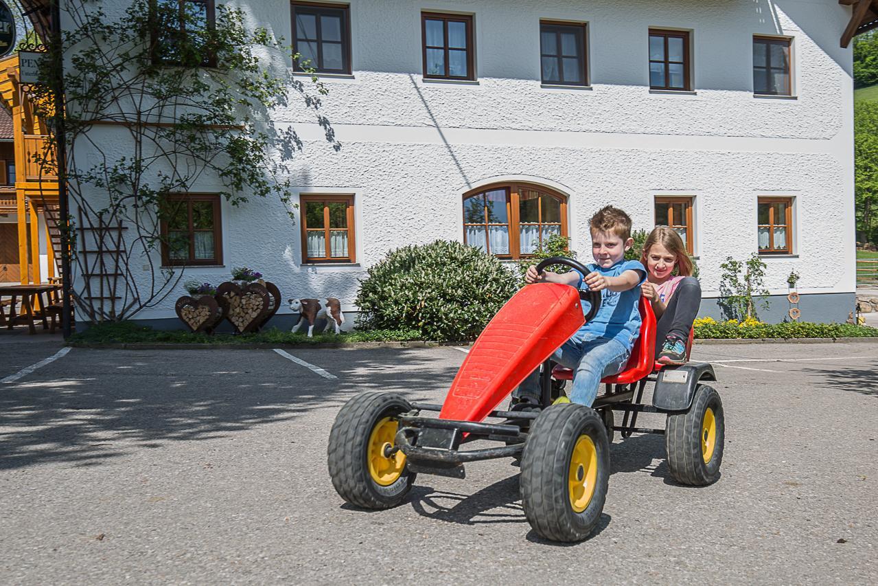 Ferienhof Pfaffenlehen Maria Neustift Экстерьер фото